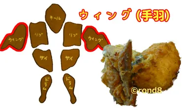 ケンタッキーの部位は指定して選べる？名前や見分け方・一番美味しい部位を写真つきで解説