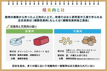 培養肉とは? 代替肉との違いや作り方、安全性やメリット・課題を解説:朝日新聞SDGs ACTION!