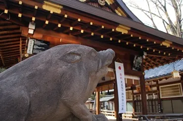 護王神社の亥子祭ってどんなイベント？平安時代の神事を再現した伝統行事とは！？