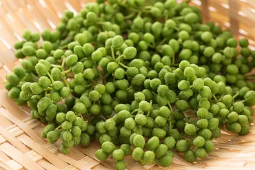 山椒の旬はいつ?栄養と美味しい食べ方