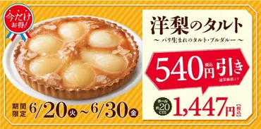 美濃焼のドリッパーセットで珈琲時間を楽しむ 6月22日(木)までMakuakeでプロジェクトを実施!
