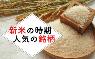 新米の旬はいつ？品種・産地ごとに新米の最も美味しい時期を解説！ 