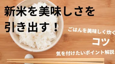 知っておきたい！新米を美味しく炊くコツと気を付けるポイント 