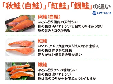 鮭の世界へようこそ！種類別の特徴と美味しい食べ方とは？紅鮭、銀鮭など、鮭の種類別の特徴とおすすめレシピ