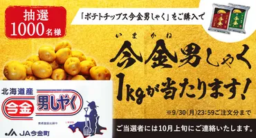今金男しゃくポテトチップス、幻のじゃがいもの魅力を徹底解剖！何が特別なの？湖池屋の限定ポテトチップス、今金男しゃくの秘密