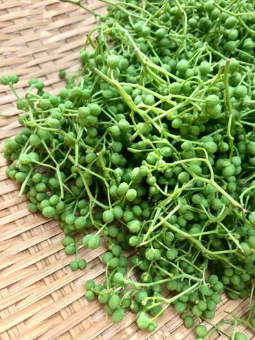 山椒！好き好き大好き！実山椒の下処理をしてストックする – FLYING APARTMENT