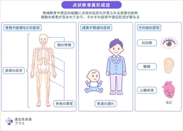 点状軟骨異形成症 