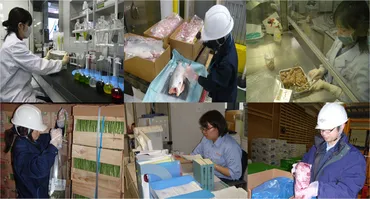 平成24年度輸入食品監視指導計画監視結果中間報告