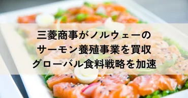 三菱商事、サーモン養殖事業買収で食料自給率向上を目指す？三菱商事によるサーモン養殖事業買収の詳細