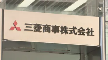 三菱商事がサーモン養殖 世界2位に、約1500億円を投じノルウェーの企業3社を買収