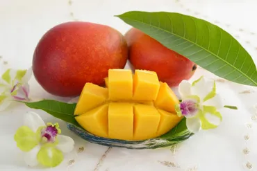 マンゴーって身体に良いの?マンゴーに含まれる栄養素と期待できる嬉しい効果について解説! – ユーグレナ ヘルスケア・ラボ