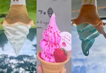 どの季節も食べたい【ご当地ソフトクリーム】ｉｎ新潟 