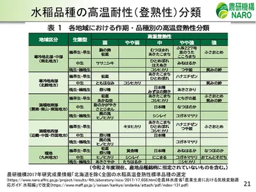 農研機構の注目品種:コメ編】温暖化に対抗!「にじのきらめき」「恋の予感」等、高温耐性品種の普及へ