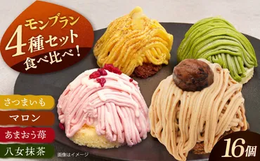 冷凍ケーキ モンブラン 4種 16個 (さつまいも / 栗 / あまおう苺 / 八女抹茶 ) 糸島市 / 五洋食品産業 AQD004: 糸島市ANAのふるさと納税