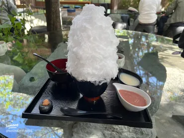 阿左美冷蔵のかき氷:夏の絶品スイーツ🍧