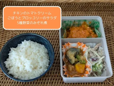 つくりおき.jp実食レビュー】料理家が全メニューを本音で評価&活用術