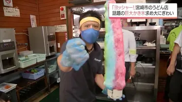ヨッシャー!」宮崎市のうどん店 盆休みに話題の゛巨大かき氷゛を求める客で大にぎわい 