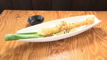 想像してたのと違う」ネギの天ぷら1本が乗った『ネギ丼』に驚く『オモウマい店2時間SP』