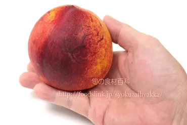 ネクタリンの選び方と保存方法や食べ方：旬の果物百科