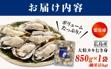 牡蠣 冷凍 贅沢な一品！こだわり大粒牡蠣むき身【瞬間冷凍】 約1kg 牡蠣 かき カキ