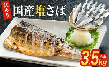 訳あり 塩 サバ フィーレ 3kg さば 鯖 切り身 宮城県 石巻市 