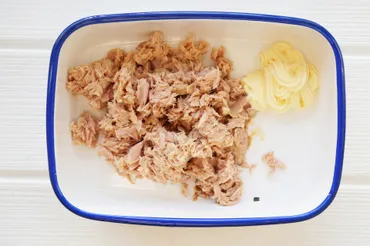 ツナマヨおにぎりは食中毒の危険性？ 腐る理由やお弁当は大丈夫？ 