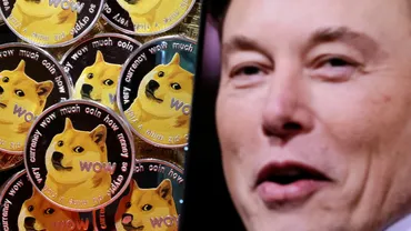 Twitterロゴがドージコイン(DOGE)の「かぼすちゃん」に、24%価格上昇も