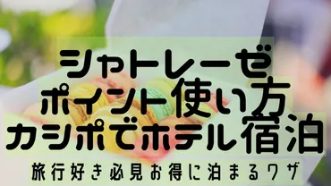 シャトレーゼポイントの使い方】カシポでホテルへ宿泊！？旅行好き必見お得に泊まる 