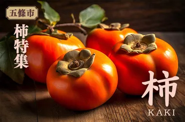 奈良県五條市の五條市の柿特集！