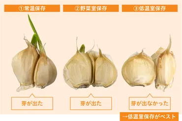 にんにくの保存方法~常温・冷蔵・冷凍のキホン~カビを防いで長持ちさせる