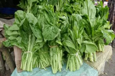 グンドゥルックの作り方とアチャールになるまで。※グンドゥルックとはネパールの発酵させた青菜を乾燥したものの呼称 