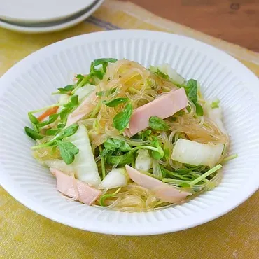 ボリュームアップに!緑豆春雨を使った料理のおすすめレシピ9選の人気レシピ・作り方