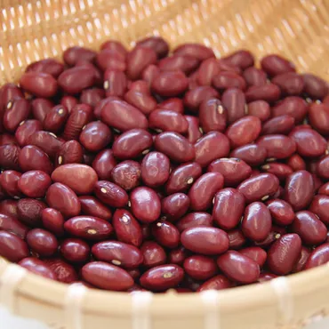 金時豆の魅力とは？北海道産金時豆の秘密と未来への展望とは？大粒で鮮やかな赤紫色！煮豆に最適な金時豆の世界