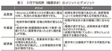 極遅まきと品種の使い分けで減らそう!金時の色流れ