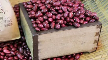 新物】金時豆 1kg 北海道産 令和7年産