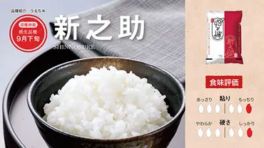 新之助、米と酒の世界を切り開く！その魅力とは？新潟が生んだ新ブランド米「新之助」、日本酒の世界へ