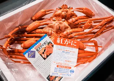 鳥取県境港市のカニ！ふるさと納税で味わう絶品カニの世界とは？境港の恵み：紅ズワイガニと松葉ガニ、カニ三昧の旅