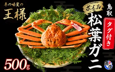 松葉ガニ/11月より寄付額改定】【魚倉】 タグ付きボイル松葉ガニ（500g） 