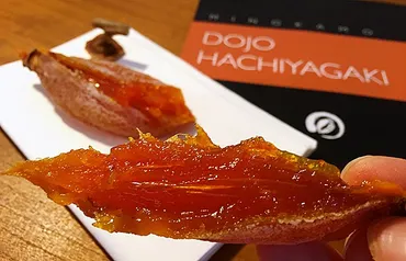 美濃加茂市の伝統と革新！「堂上蜂屋柿」の魅力をスイーツで再発見？規格外柿を救え！スイーツブランド【美濃蜂屋】誕生秘話