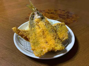 連日満席でアジフライなどの海鮮料理が人気の浜金谷にある定食屋「漁師めし はまべ」