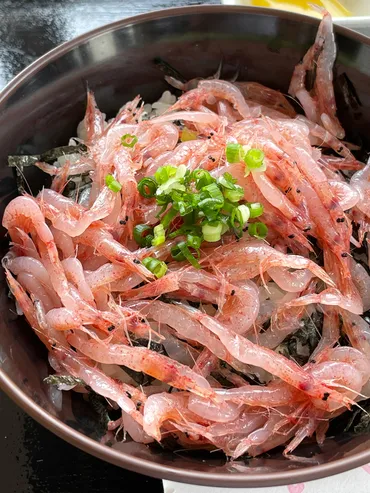 漁協直営食堂さくら