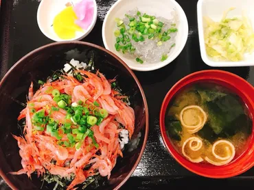 静岡県焼津市大井川港】漁協直営食堂さくらのサクラエビ丼が絶品だった – 愛 love fish！