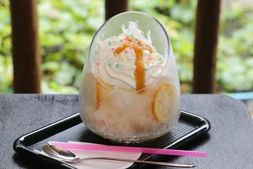 天然水による極上のかき氷を堪能！「おかざきかき氷街道」9月30日まで開催 