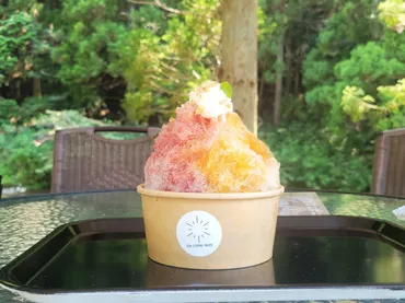 岡崎市】限定漆スプーン＆御朱印帳をGET！ 「おかざきかき氷街道2025」スタンプラリー解説 