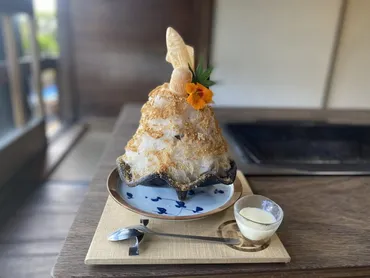 岡崎・額田の超軟水『仙水』仕込みのかき氷～おかざき かき氷街道～ 