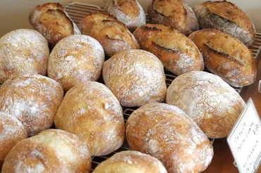 特別編】パンを通して時代が見える パンラボ主宰池田浩明さん 