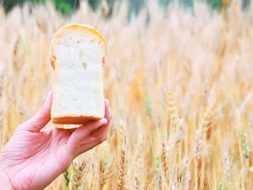 国産小麦が日本のパンを変える!? パンラボ池田浩明が語る国産小麦の魅力 