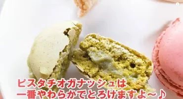 業務スーパー】超人気冷凍スイーツに新フレーバー登場！マカロンセレクトが激ウマ！ 