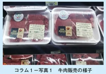 カナダ産牛肉の魅力とは？日本市場での躍進と味の秘密を探る！カナダ産牛肉：安全・高品質・高コスパ！食卓を豊かにする秘密