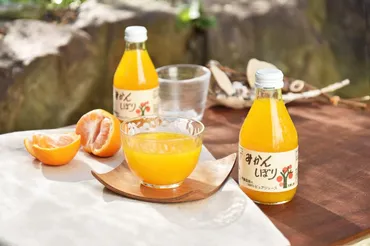 オレンジジュースのおすすめ31選。フレッシュな味わいの人気商品をご紹介